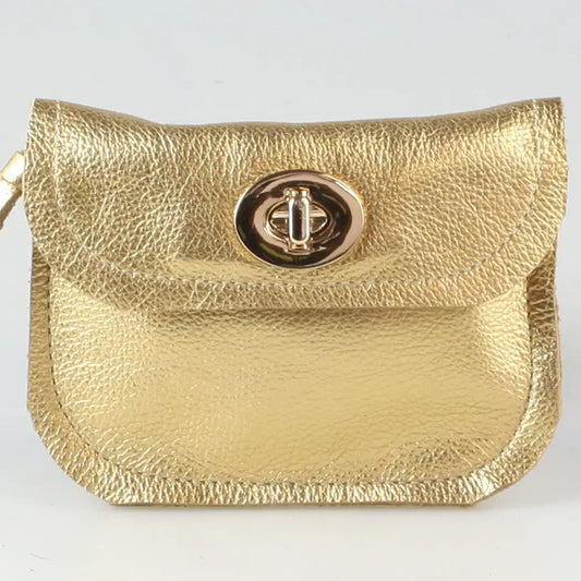 Zina Kao Metallic Turnlock Wallet