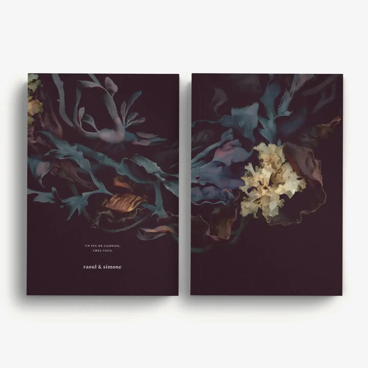 Raoul & Simone Notebooks