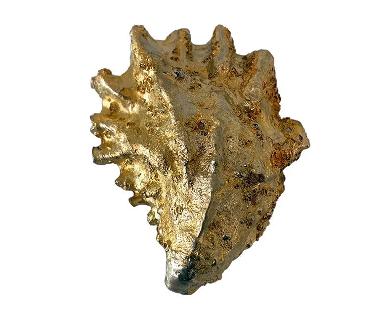 Unearthen Oyster Shell 3