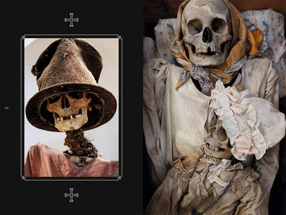 Memento Mori: The Dead Among Us