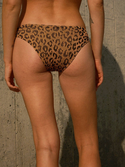 Mollusk Ripple Bikini Bottom