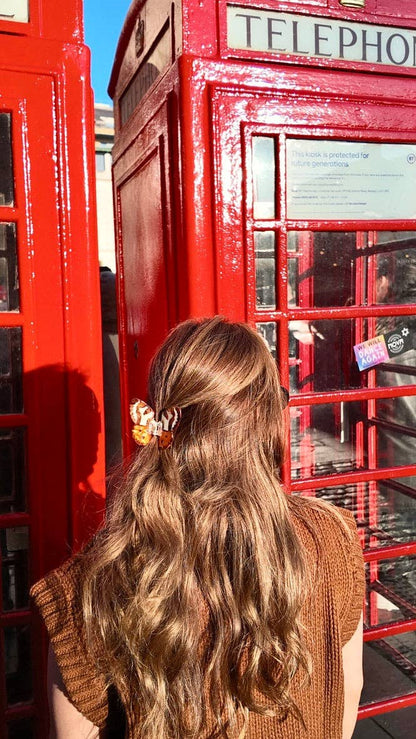 Solar Eclipse Hand-painted Tiger Moth Claw Hair Clip