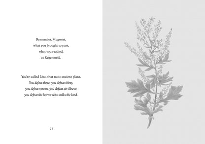The Nine Plants Spell, 3rd Edition by Joseph S. Hopkins