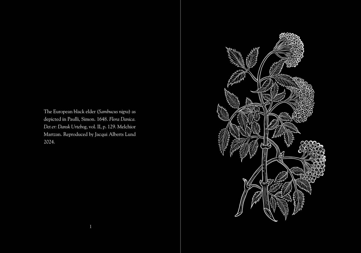 Lady Elder Tree: Northern Animism and Witchcraft