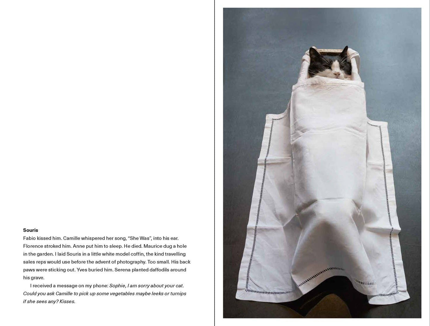 Sophie Calle (Photofile):