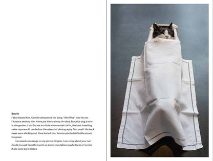 Sophie Calle (Photofile):