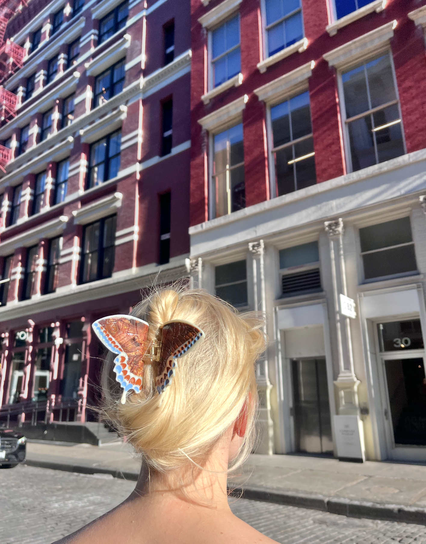 Solar Eclipse Hand-painted Swallowtail Butterfly Claw Hair Clip