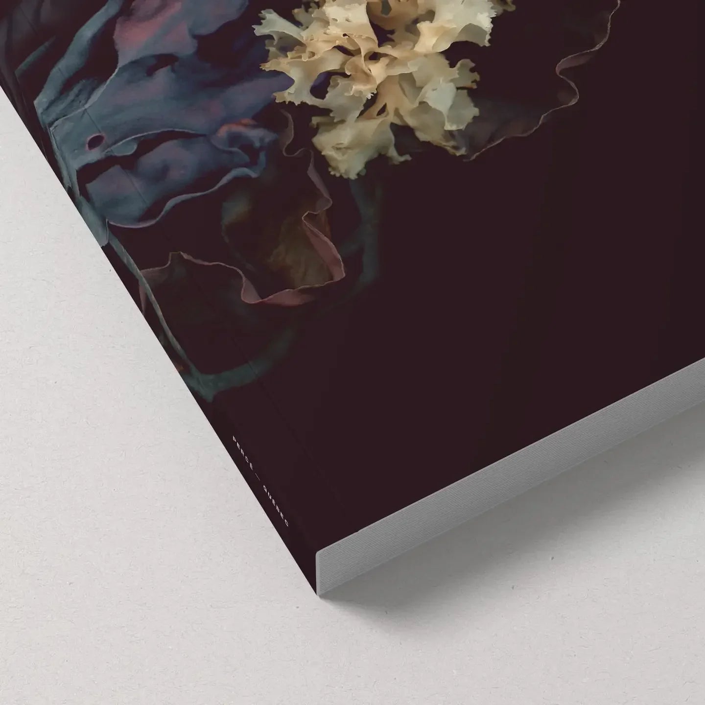 Raoul & Simone Notebooks