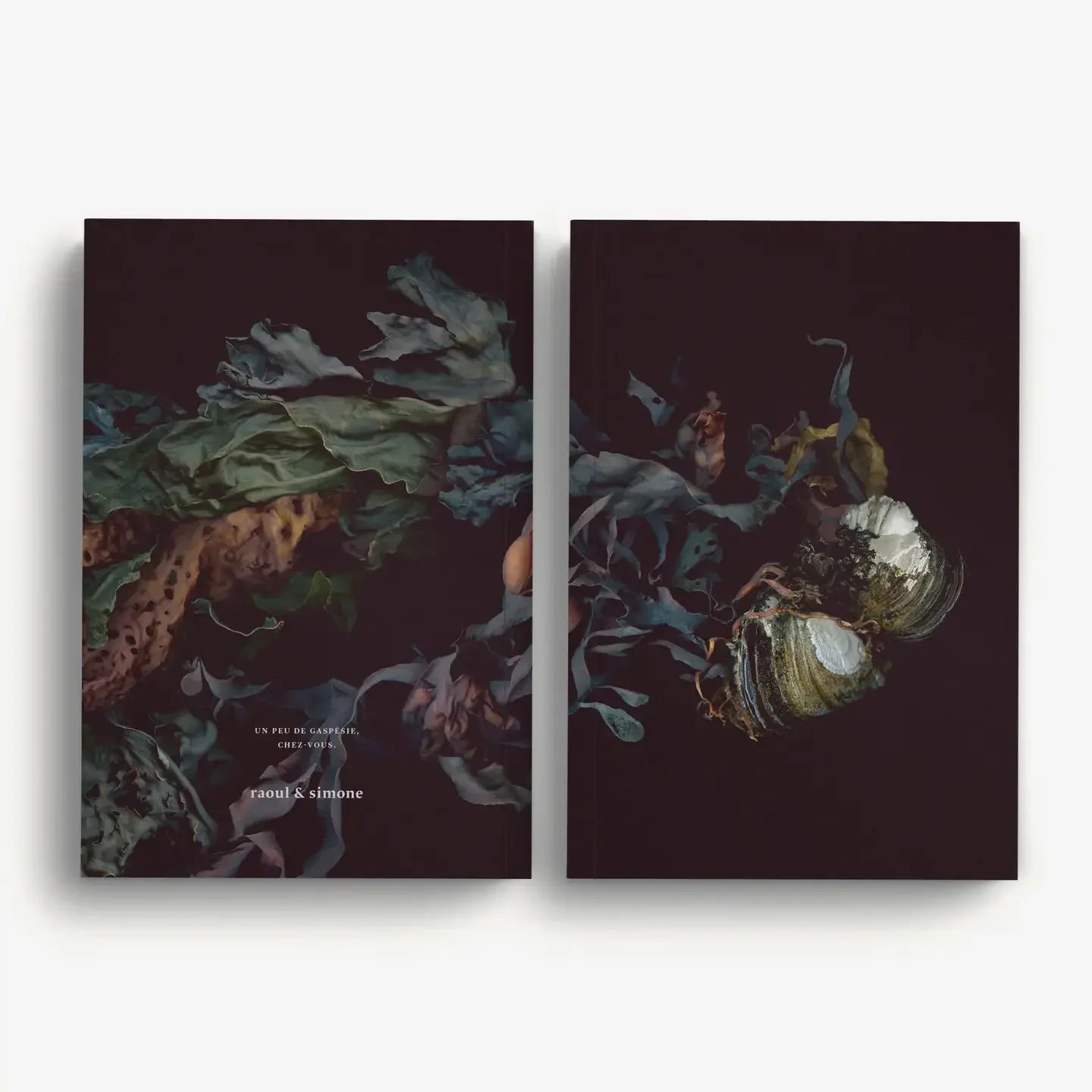 Raoul & Simone Notebooks