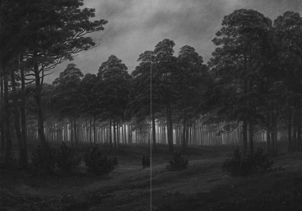 Dark Forest Longing: Tales of Folk Horror & Nature Mysticism
