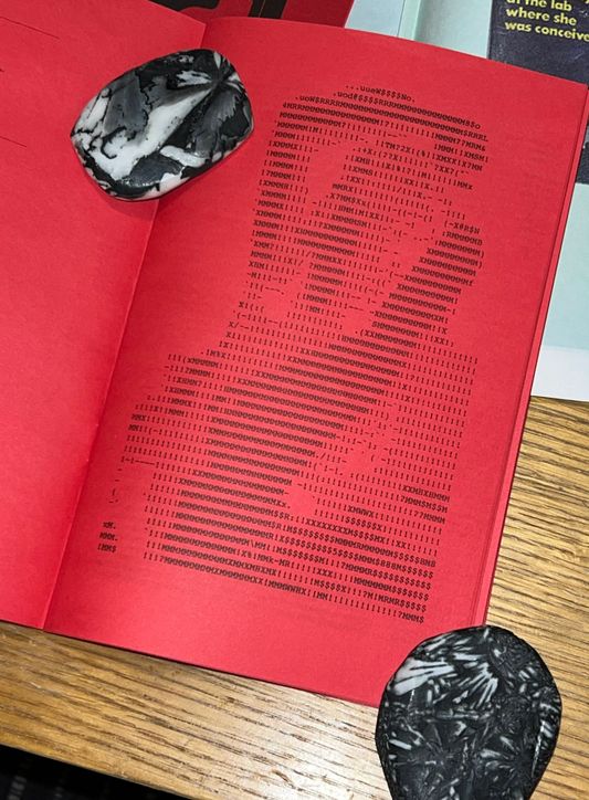 X-Rated: ASC-II Art • Risograph Printed Zine