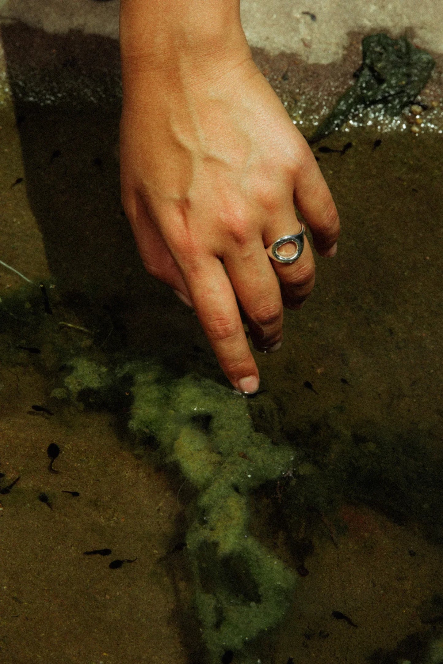 California Dirt Portals Ring