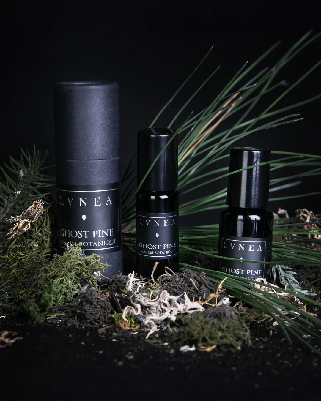 Lvnea Ghost Pine Parfum Botanique