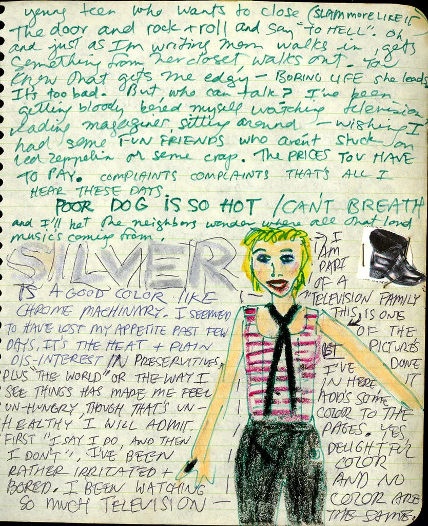 I Feel Famous: Punk Diaries 1977-1981 | Hat & Beard Press