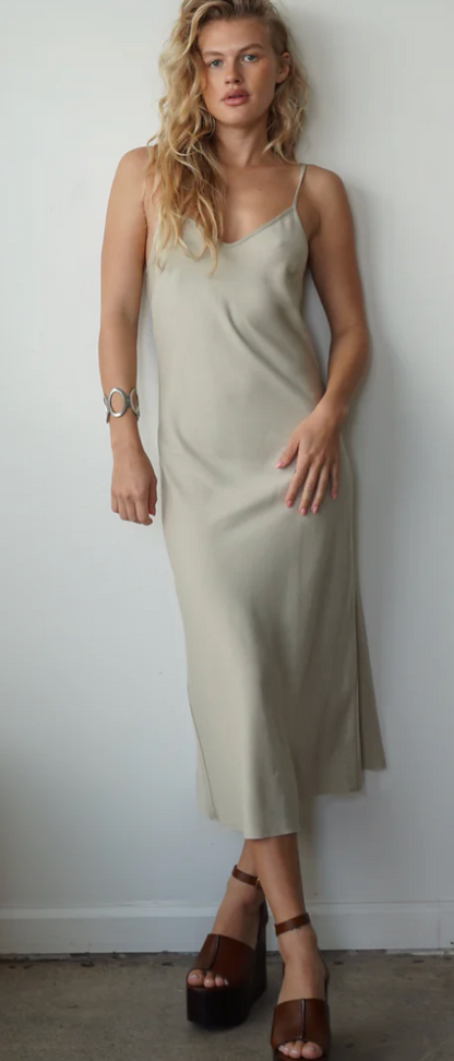 Shop Shani Leo Slip Dress