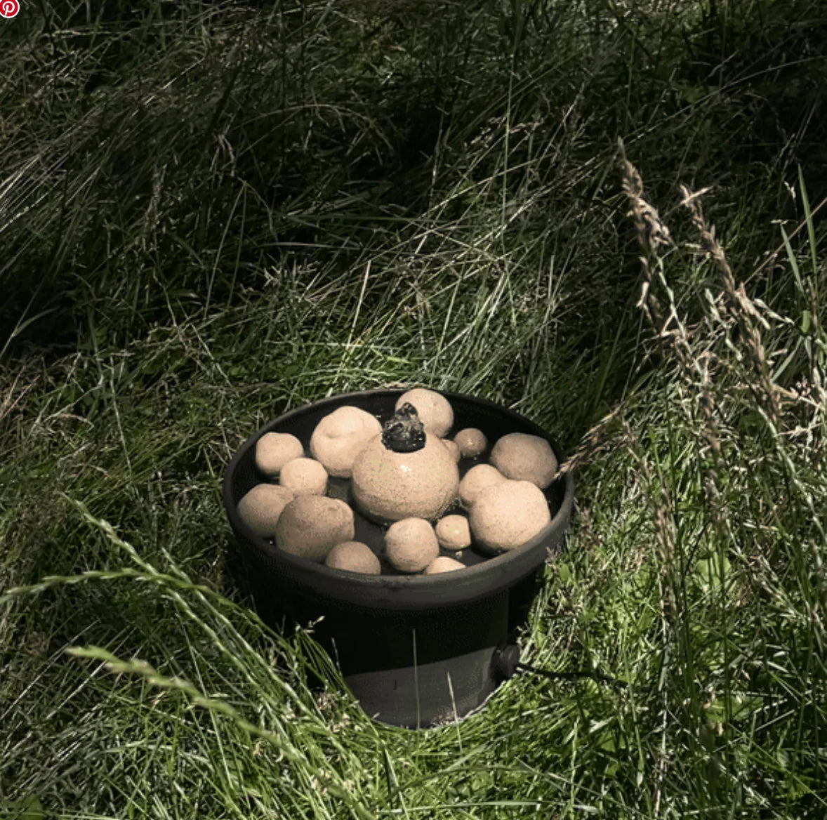 Bola Fountain - Solar Powered Pollinator Fountain