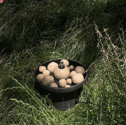 Bola Fountain - Solar Powered Pollinator Fountain