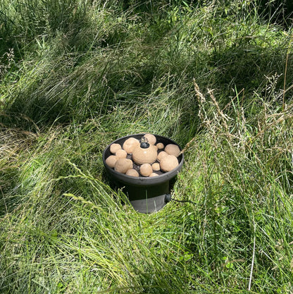 Bola Fountain - Solar Powered Pollinator Fountain