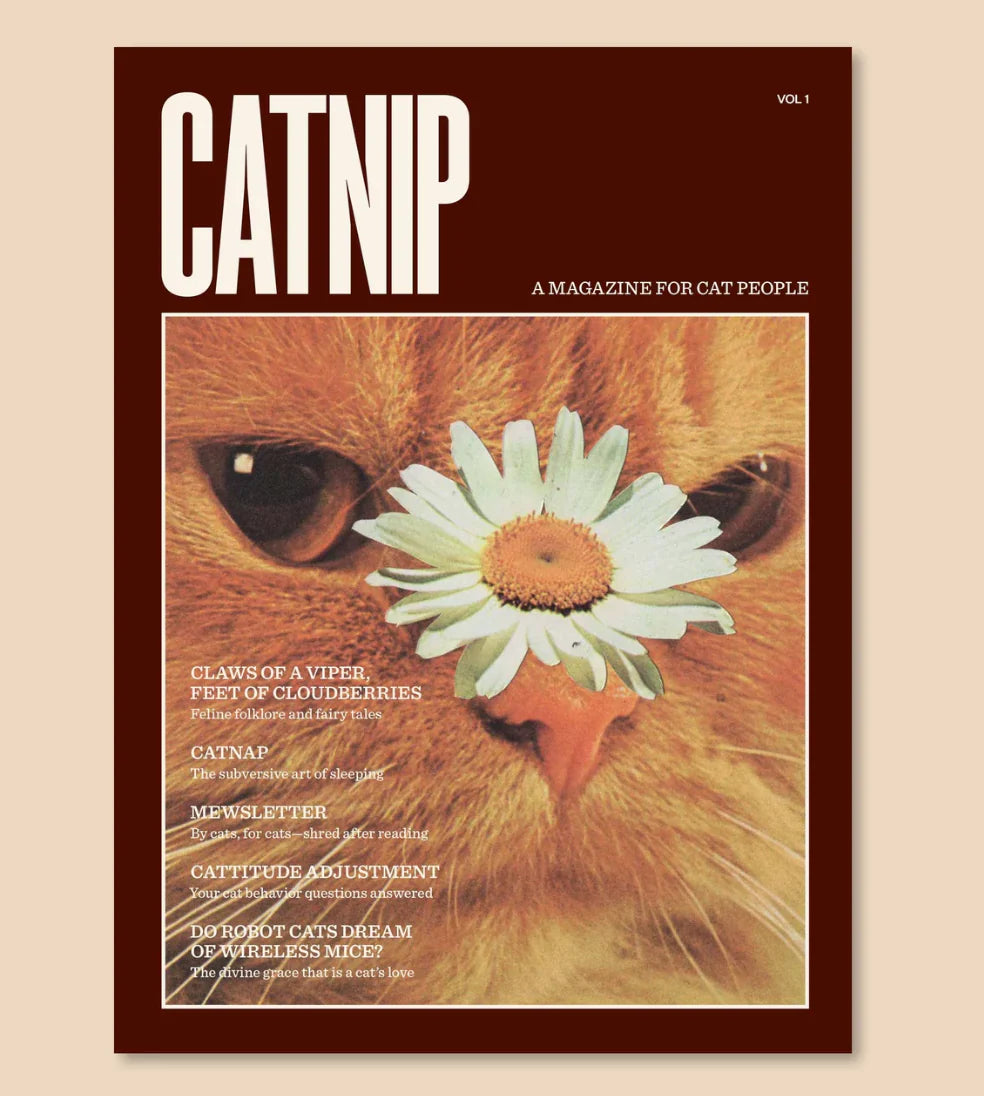 Catnip Magazine | Broccoli