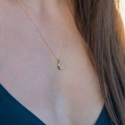 Talon Jewelry Crescent Necklace