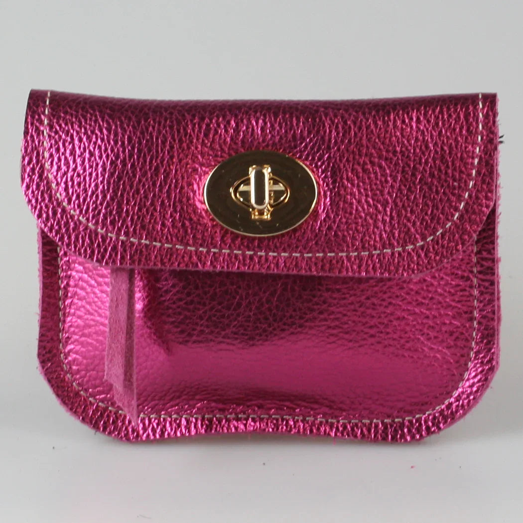 Zina Kao Metallic Turnlock Wallet