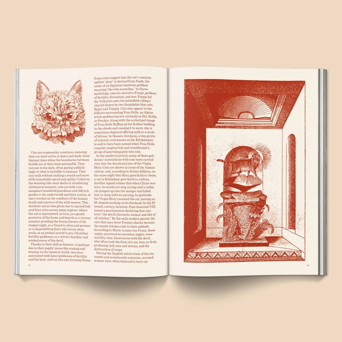 Catnip Magazine | Broccoli