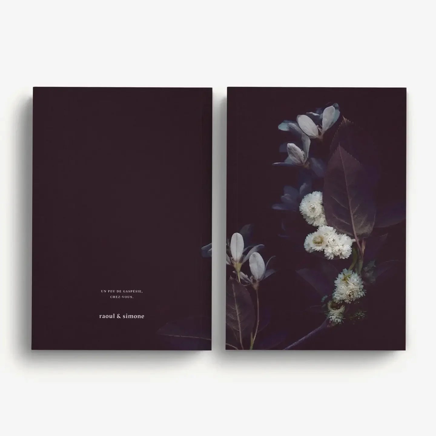 Raoul & Simone Notebooks