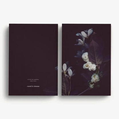 Raoul & Simone Notebooks