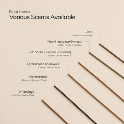Frankincense Japanese Incense Stick Set - 30 Sticks with Ceramic Holder