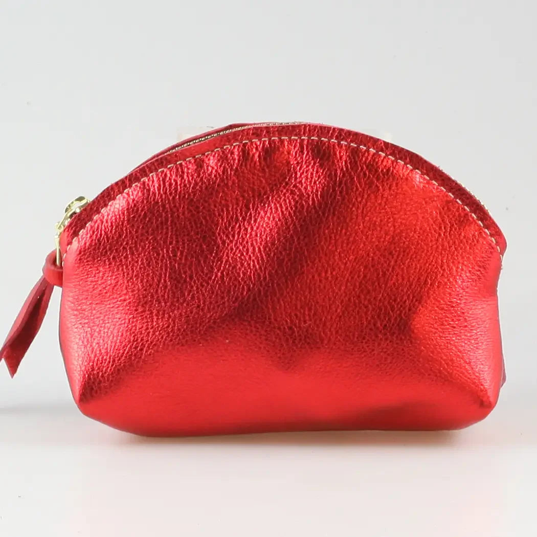 Zina Kao Metallic Simon Mini Makeup Clutch