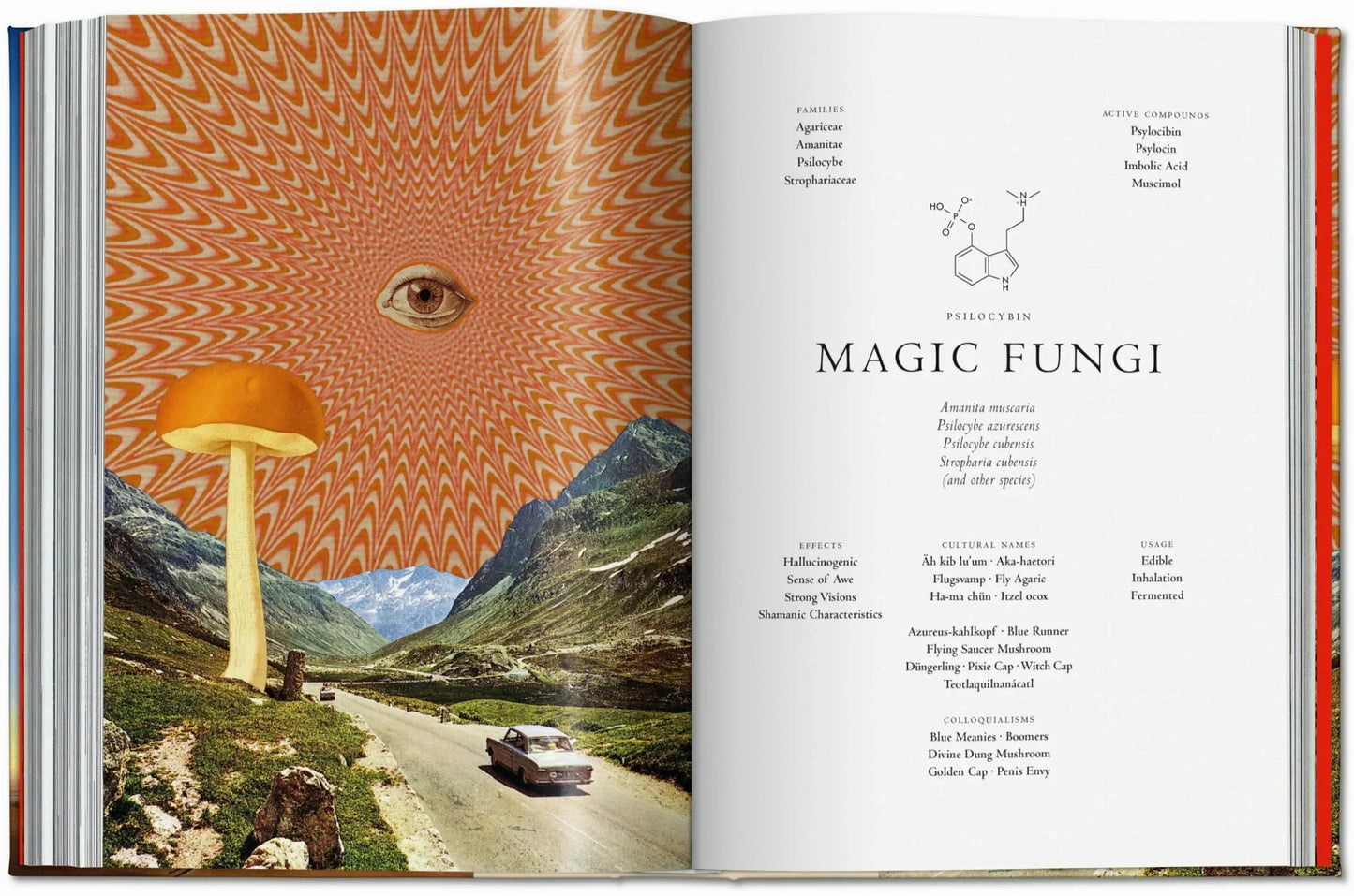 Plant Magick | TASCHEN Library of Esoterica