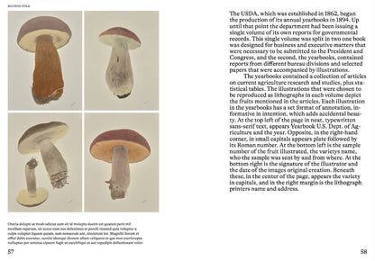 An Illustrated Catalog of American Mushrooms