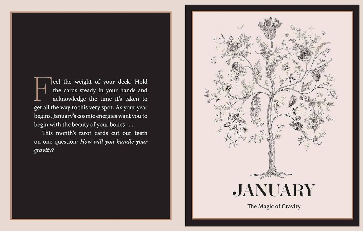 The Tarot Almanac: A Seasonal Guide to Divining