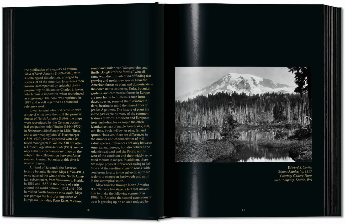 Romeyn B. Hough. The Woodbook. The Complete Plates | TASCHEN
