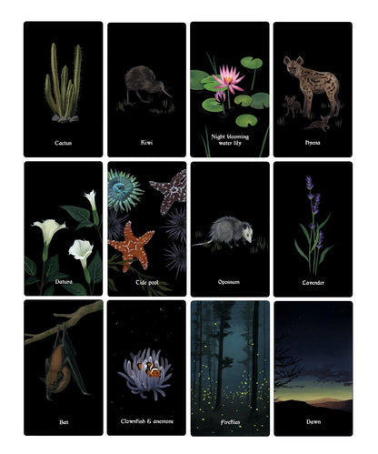 Nocturna Oracle Deck
