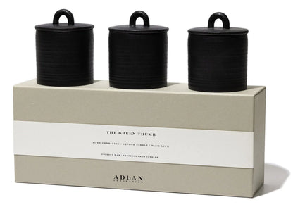 Adlan Petite Candle Trio | The Green Thumb