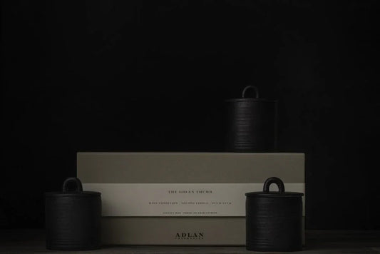 Adlan Petite Candle Trio | The Green Thumb
