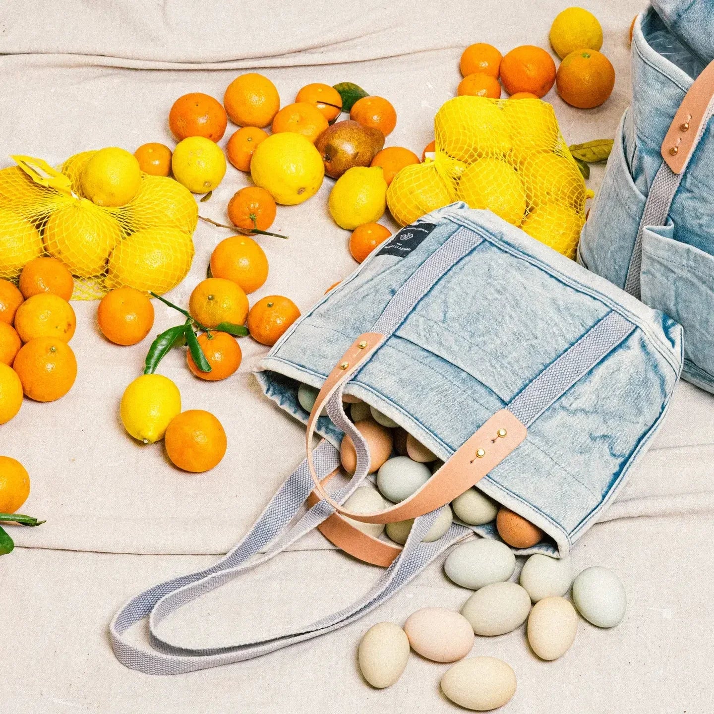 Immodest Cotton Lunch Tote | Acid Wash